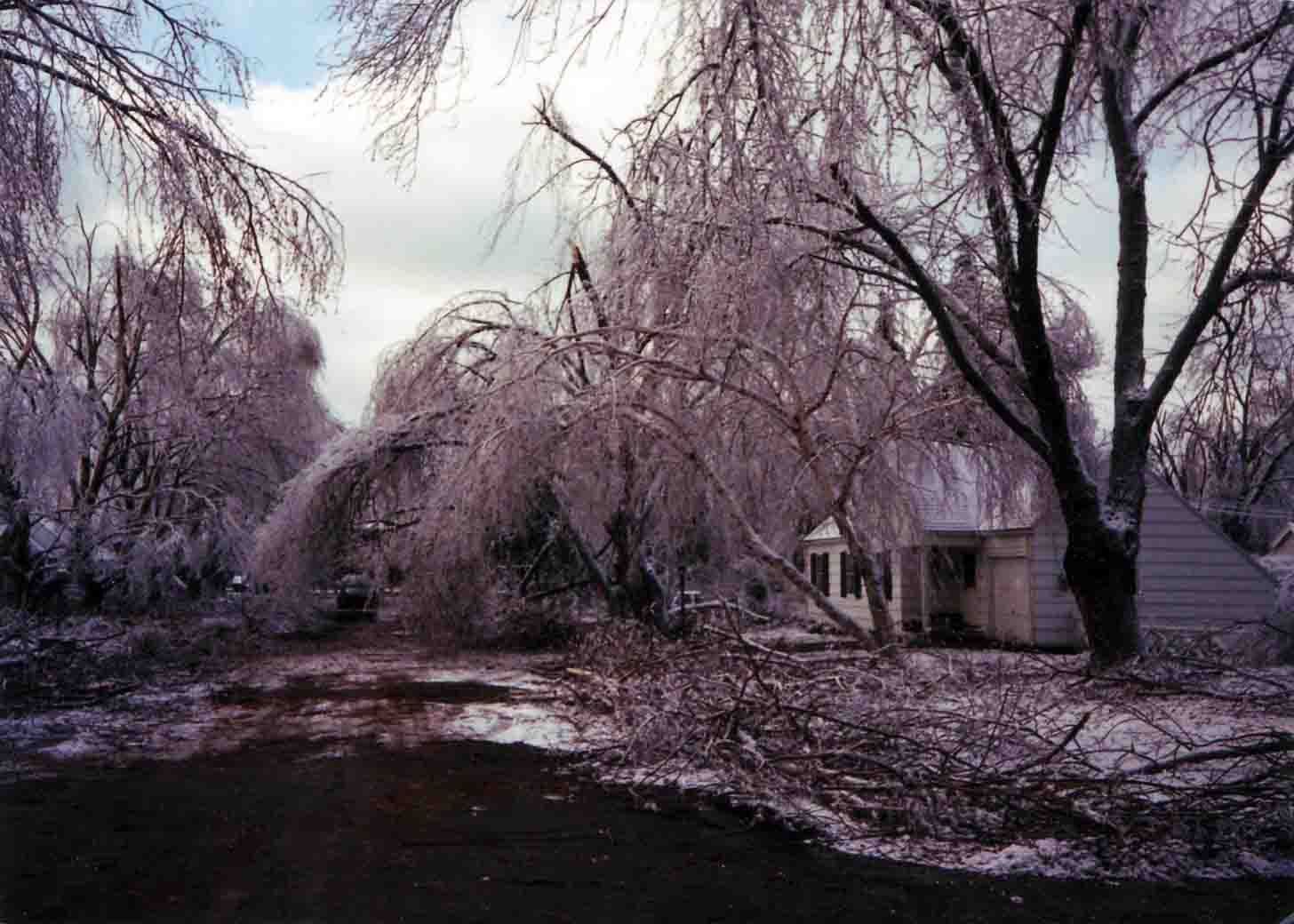 Ice Storm 1991
